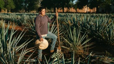Filipino Tequila: The Surprising Filipino Connection to Mexico