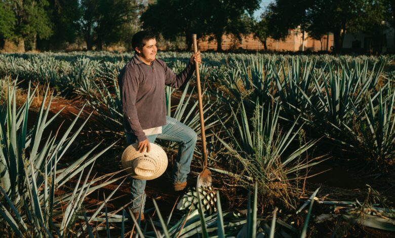 Filipino Tequila: The Surprising Filipino Connection to Mexico