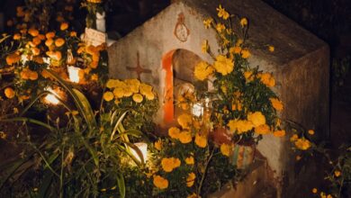 Going Home for Undas? Here’s What to Know Before You Travel
